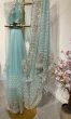 Light Mint Green Heavy Embrodery Net Saree