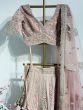 Light Baby Pink Organza Lehenga With Thread Work