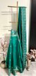 Green Plian Saree With Paola Digital Print Border