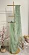 Mint green net saree