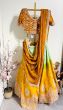 Multi Colour Dola Silk Lehenga