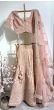 Light Baby Pink Organza Lehenga With Thread Work